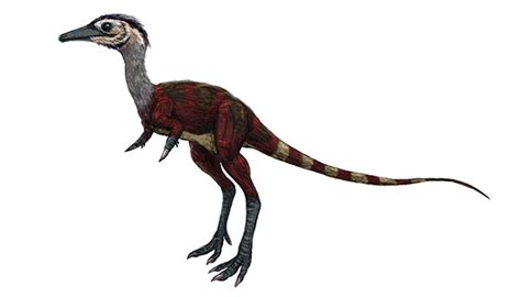 Are birds related to dinosaurs?