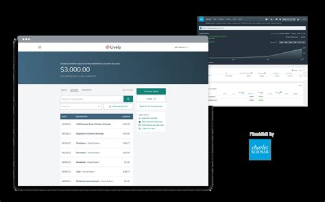Best HSA Investment Options | Lively