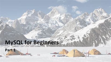 MySQL Basic Programs 的图像结果