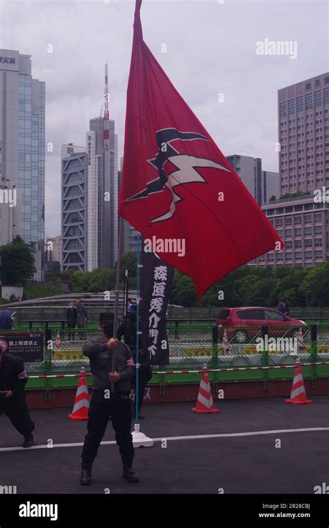 Right-Wing Models 的图像结果