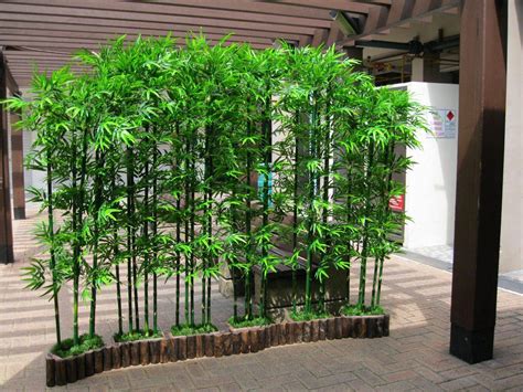 20 Bamboo Garden Wall Ideas You Should Check | SharonSable