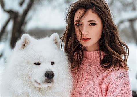 pet, 1080P, dog, women, women outdoors, model, pink sweater, Evgeny ...