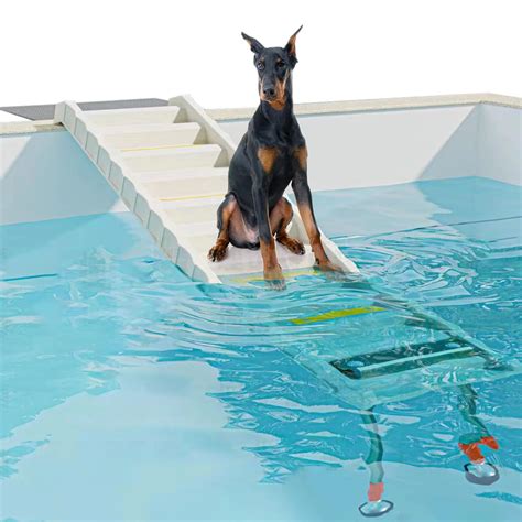 Foldable Dog Pool Ramp With 33 Legs For Free Height | Desertcart INDIA