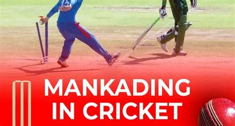 mankading in cricket Android IOS V- 5.81