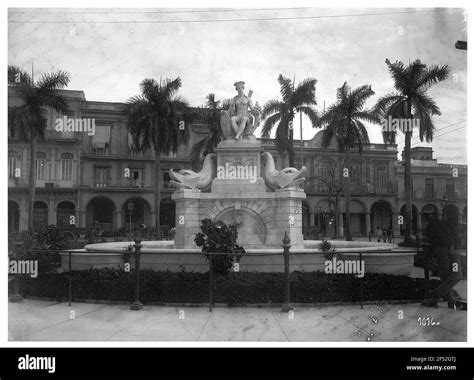 Local Source India 的图像结果