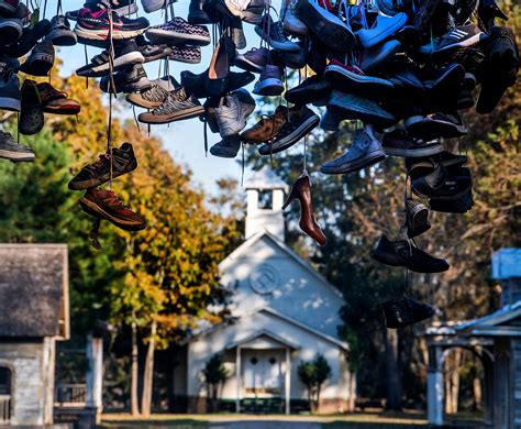 Is this snake poisonous? Here are the 6 venomous snakes in Alabama