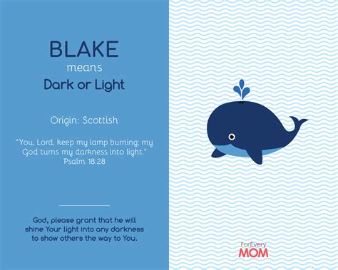 What Does Blake Mean In The Bible - Bible Wisdom Hub