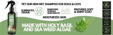 Buy Dogz & Dudez - Oatmeal Spray for Dogs & Cats | 4 in 1 Keeps Their ...