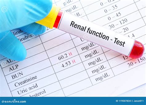 Blood Test Kidney Function Abnormal at Sandra Moody blog