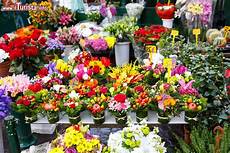 fiera dei fiori la fiera di ortogiardino a pordenone date 2019 fiera dei fiori la fiera di ortogiardino a pordenone date 2019