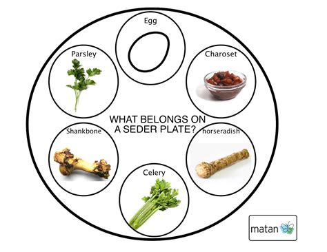 A Millennial's Guide to the Passover Seder - Hey Alma