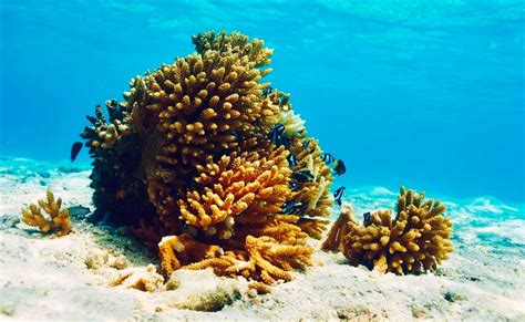 Unity Mortuary In Williamston South Carolina at Larissa Morning blog