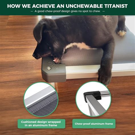 Chew Proof Dog Beds Sale, Find the Best Chew Proof Beds for Dogs - FXW