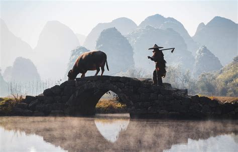 Festival Of The Lakes