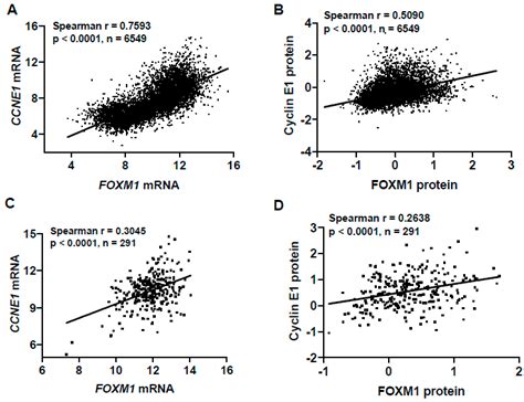 Pan-Cancer Analyses Reveal Genomic Features of FOXM1 Overexpression in ...
