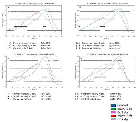 Resveratrol and Exercise Produce a Recovery Ankle and Metatarsus Joint ...