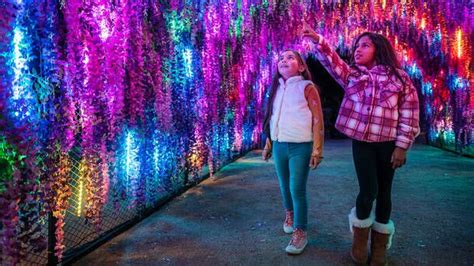 Phoenix ZooLights: The Valley’s Favorite Holiday Tradition, Phoenix Zoo ...