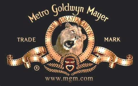 MGM Rewards | Loyalty Program | Earn Points Vector Art Vector Recipe Wallpaper Vector