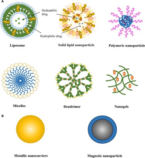 Frontiers | Nanocarrier drug delivery system: promising platform for targeted depression therapy