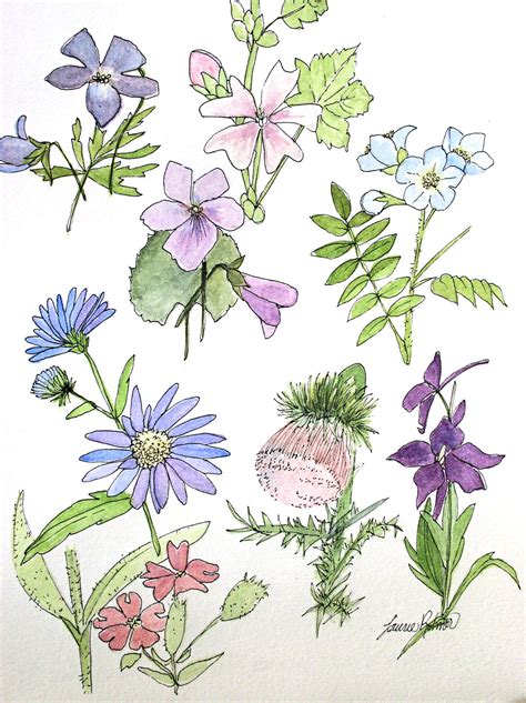 Nature Art Watercolor Illustrations