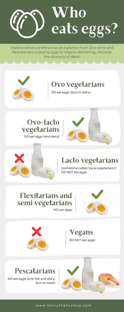 Do Vegetarians Eat Eggs? The answer is really weird!