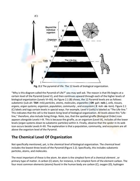 Organization of Organism Pic 的图像结果
