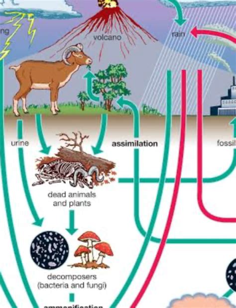 biosphere – Universe discoveries