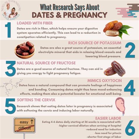 Benefits of Eating Dates During Pregnancy⬇️ in 2025 | Holistic diet ...