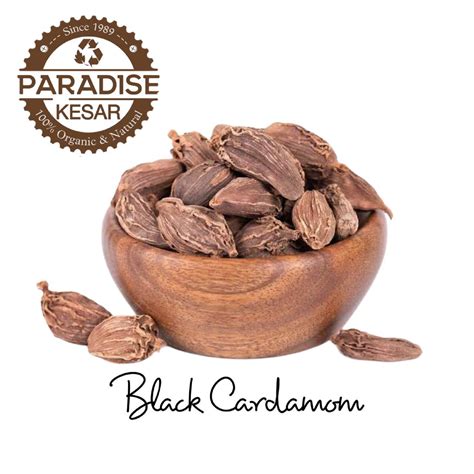 Black Cardamom (Badi Elaichi) 100g – Paradise Kesar