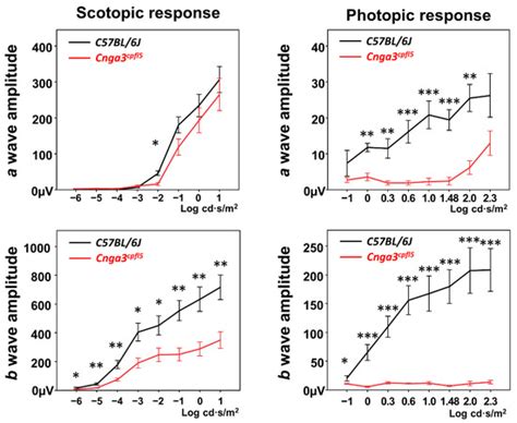 Mouse Models of Achromatopsia in Addressing Temporal “Point of No ...