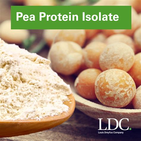 Pea Protein Isolate | LDC - Louis Dreyfus Company | Ingredients Network