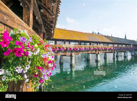 Image result for Chapel Bride