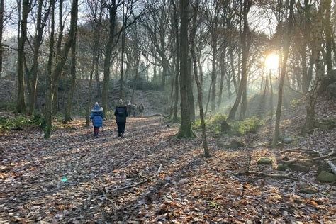 Local Support Services 的图像结果