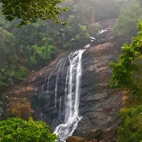 SKYLARK HOLIDAYS (Kerala/Chinnakanal, India) - Hotel Reviews & Photos ...