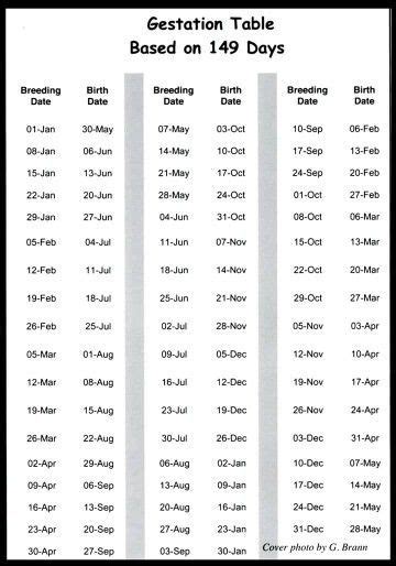 Printable Cow Gestation Table