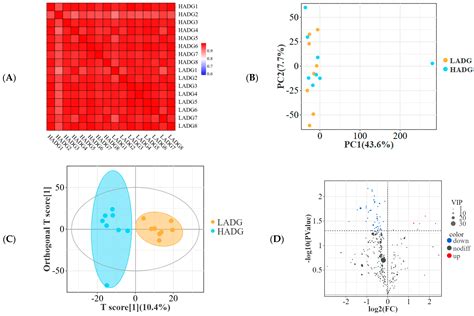 A Comparison Between High- and Low-Performing Lambs and Their Impact on ...