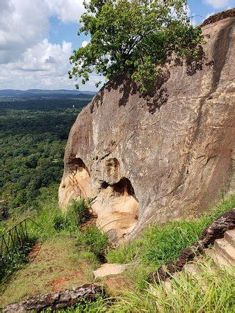 Sigiriya Museum - 2019 What to Know Before You Go (with Photos ...