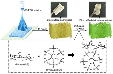 Low-Cost Biomass Nanofibers from Chitosan and Phytic Acid for Efficient ...
