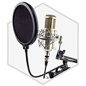 Powerpak PF-100 6 inch Studio Microphone Pop Filter | For Singing ...
