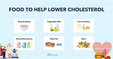 Image result for Food Website HTML CSS JavaScript
