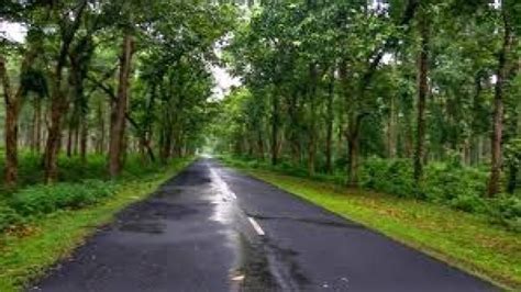 Rail Arranges Special Train From Santragachi To NJP: বর্ষার মরশুমে ...