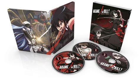Akame Ga Kill: The Complete Collection: Amazon.in: Movies & TV Shows
