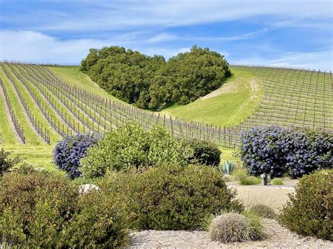 Best Paso Robles Restaurants: 15 Hot Spots for 2024! — Chef Denise