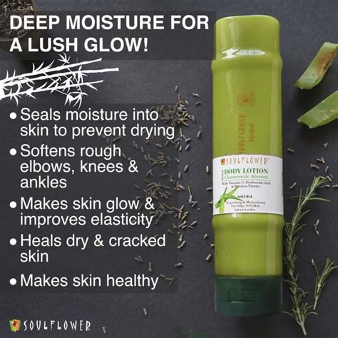 Buy SOULFLOWER CHAMOMILE ALOE VERA BODY LOTION WITH VITAMIN C ...
