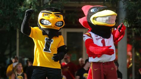 Iowa vs Iowa State (Cy-Hawk) Game Watch Party), The Cottontail ...