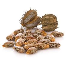 Buy Ayuugain Happy Tummy Powder For Constipation, Indigestion, Gas ...