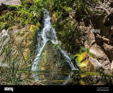 death valley darwin falls Stock Photo - Alamy