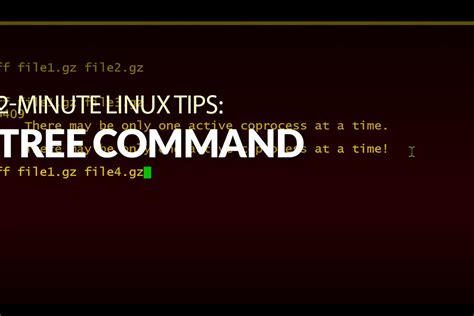 Image result for Running Tree Command