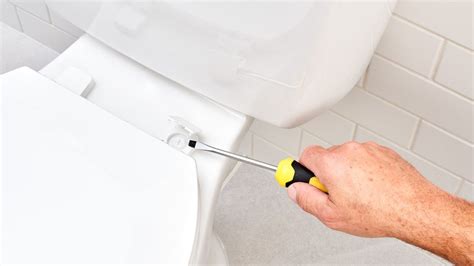 Top Toilet Tips: Tightening Your Toilet Seat & More ‐ Woolf Plumbing