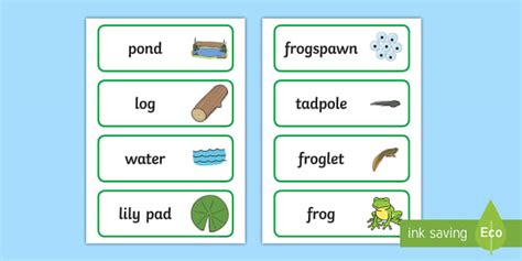 Life Cycle of a Frog Display Photos